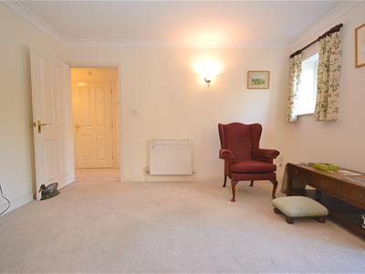 Picture 8